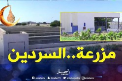 الشيخ النوي: مزرعة لتربية السمك مبنية بالملايير سمحو فيها الذيابة بتموشنت