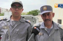 أم البواقي: حجز 4 آلاف علبة سجائر و 50 خرطوشة صيد عيار 12 ملم