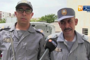 أم البواقي: حجز 4 آلاف علبة سجائر و 50 خرطوشة صيد عيار 12 ملم
