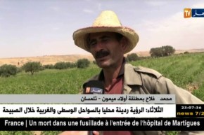 تلمسان: نفوق عدد كبير من الأسماك بسد أولاد ميمون