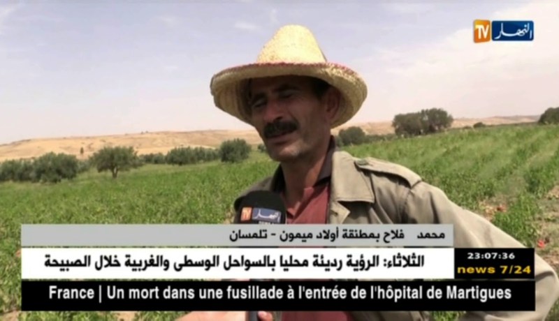 تلمسان: نفوق عدد كبير من الأسماك بسد أولاد ميمون