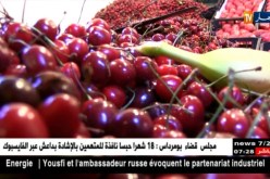 تجارة : التغيرات المناخية ترفع من أسعار الفواكه في موسمها