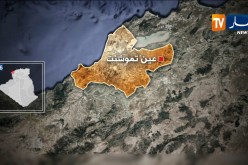 عين تموشنت: عناصر الدرك الوطني تحجز 30 كلغ من المخدرات بغابة فيقارة في بني صاف