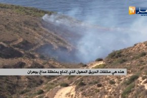 “مباشر من وهران: مخالفات كبيرة وجسيمة خلفتها الحرائق بـ “منطقة مداغ” و”غابة طفراوي