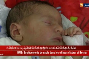 مجتمع: عدد المواليد الأحياء يتجاوز المليون نسمة..