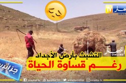 جزائريون: حياة متعسرة في قرى ومداشر برج بوعريريج