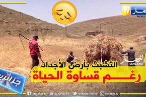 جزائريون: حياة متعسرة في قرى ومداشر برج بوعريريج