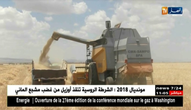 أم البواقي : فلاحون يرفعون التحدي لتحقيق الإكتفاء الذاتي في إنتاج البذور