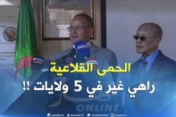 وزير الفلاحة :” الحمى القلاعية مسّت 5 ولايات فقط ورانا نعالجو في الأمر !! “