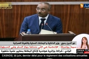 بدوي: تقسيم إداري جديد بالهضاب العليا