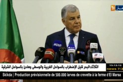 قيطوني: “دفتر شروط خاص بالإستثمار في الطاقات المتجددة جاهز في أي وقت”