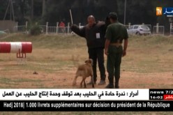 العاصمة: زوخ يشرف على إنطلاق أيام مفتوحة على الدرك الوطني بغابة بوشاوي