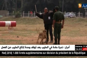 العاصمة: زوخ يشرف على إنطلاق أيام مفتوحة على الدرك الوطني بغابة بوشاوي