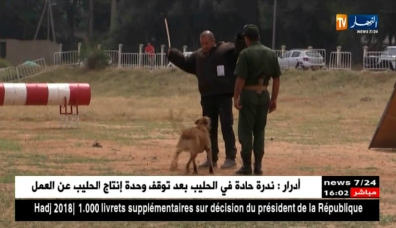 العاصمة: زوخ يشرف على إنطلاق أيام مفتوحة على الدرك الوطني بغابة بوشاوي