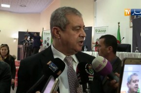 رابحي: “ما يحدث في الجزائر لا يعكس جمالها..فهي دولة قوية بثرواتها وقدراتها”