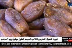 إنتاج فرع التمور يسجل 332.4 مليار دينار خلال سنة 2017