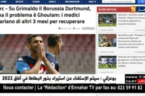 بوريسيا دورتموند يبدي إهتمامه بضم فوزي غولام