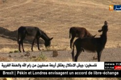 سوق أهراس: سكان المعبر الحدودي بأولاد مومن يتزودون بمياه الواد عن طريق الحمير