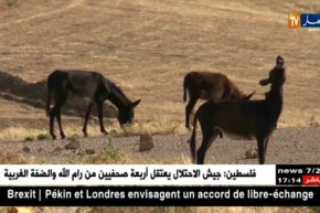 سوق أهراس: سكان المعبر الحدودي بأولاد مومن يتزودون بمياه الواد عن طريق الحمير