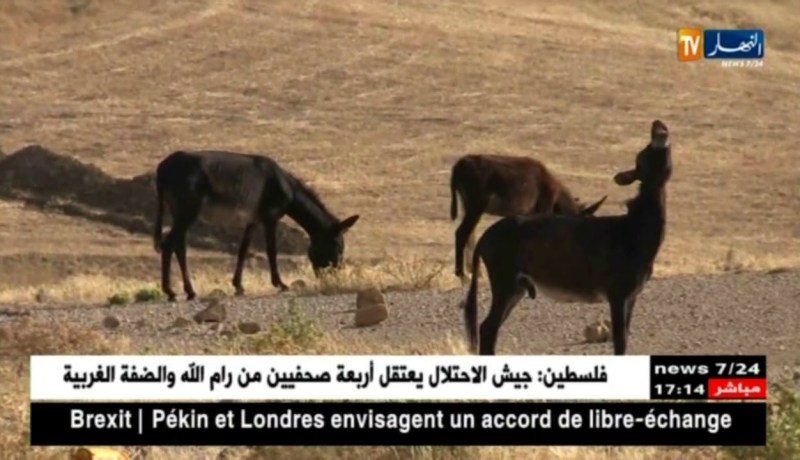 سوق أهراس: سكان المعبر الحدودي بأولاد مومن يتزودون بمياه الواد عن طريق الحمير
