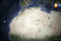 سيدي بلعباس: توقيف شخصين وحجز 2771 وحدة من المشروبات الكحولية