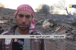 قالمة/ إصابة أشخاص وخسائر كبيرة في الثروة الحيوانية في حريق مهول بثلاثة مشاتي