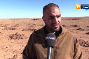 البيض: مجهولون يتلفون ما يقارب ألف شجرة مثمرة ويكبدون صاحبها خسائر كبيرة