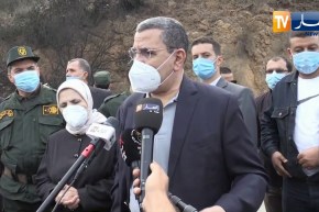 “الوزير الأول :” يجب أن تكون حوصلة دقيقة حول الحرائق على مستوى الوطن