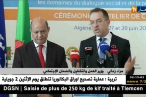 مراد زمالي : عدد الأجانب العاملين في الجزائر يقدر بنحو 90 ألف ..أغلبهم صينيين..!