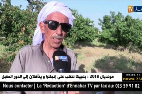 البيض: فلاحون يحققون وفرة في إنتاج المشمش ..ومشاكل في تسويقه تطرح