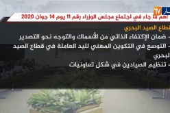 أهم ما جاء في اجتماع مجلس الوزراء رقم 11 يوم 14 جوان 2020