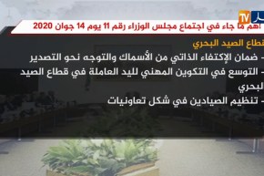 أهم ما جاء في اجتماع مجلس الوزراء رقم 11 يوم 14 جوان 2020