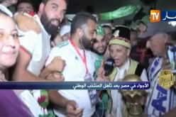 بالدموع أنصار الخضر يحتفلون بالتأهل لنصف نهائي الكان