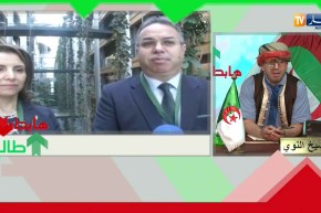 طالع هابط: مدينة مناصر بتيبازة..  مشاريع متوقفة..  سكنات خالية.. ولا أحد تحرك