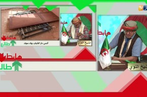 طالع هابط: والي واد سوف ينقذ دار الشباب من الخراب