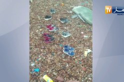 مستغانم: العثور على 7 جثت تعود لـ 4 نساء وطفلين لفظتهم الأمواج بشاطئ الإخوة الثلاثة