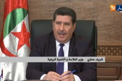 وزير الفلاحة: “ضخ كميات إضافية من القمح الصلب إلى المطاحن لإنتاج مادة السميد”