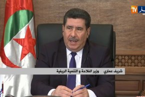 وزير الفلاحة: “ضخ كميات إضافية من القمح الصلب إلى المطاحن لإنتاج مادة السميد”