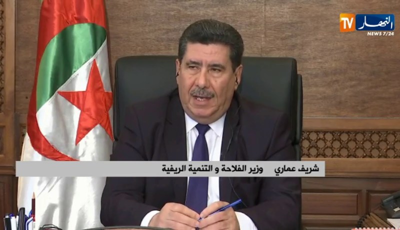 وزير الفلاحة: “ضخ كميات إضافية من القمح الصلب إلى المطاحن لإنتاج مادة السميد”