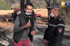 نقيب بالمديرية الحماية المدنية في سيدي بلعاس: سجلنا عدة حرائق بالولاية خاصة حريق كبير بغابة اللّوزة