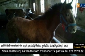 قسنطينة: 5 سنوات نافذة في حق المتورطين بقضية الذبح السري