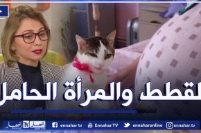 داء القطط .. وكيف يؤثر على الإجهاض ؟