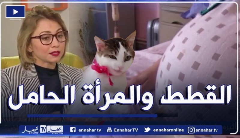 داء القطط .. وكيف يؤثر على الإجهاض ؟