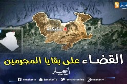 مفرزة للجيش الوطني تقضي على ثلاثة إرهابين بسكيكدة