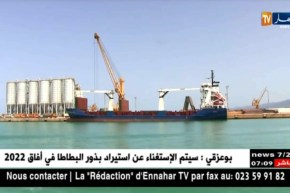 لافارج هولسيم يباشر اليوم بتصدير 17 ألف طن من الإسمنت نحو إفريقيا الغربية