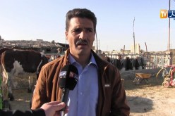 بسكرة: شاب ينشئ مزرعة بإمكانيات بسيطة تطارده البيروقراطية