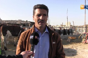 بسكرة: شاب ينشئ مزرعة بإمكانيات بسيطة تطارده البيروقراطية