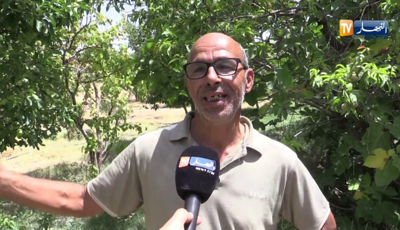 باتنة/ مستثمرة “بردود” الفلاحية مهددة بالزوال بسبب إنعدام الكهرباء