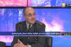 جمال بلعايب: واجهنا صعوبات في إخماد الحرائق بسبب التضاريس الوعرة وبتضافر الجهود سيطرنا الوضع