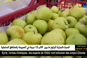 تجارة : بورصة أسعار الخضر و الفواكه تنخفض أياما فقط قبل شهر رمضان